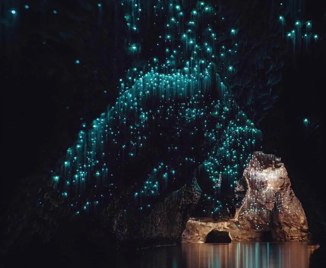 Glow Worm Caves