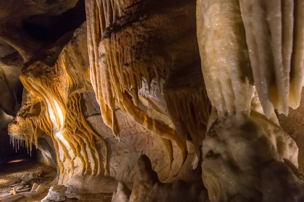 Another Look on the Chauvet Cave