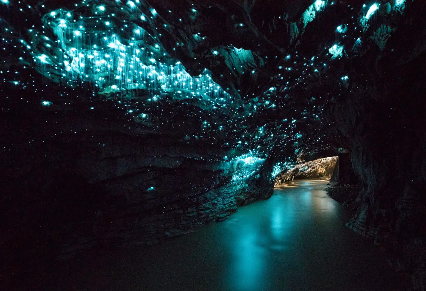 Waitomo Glowworm Caves Photo 2