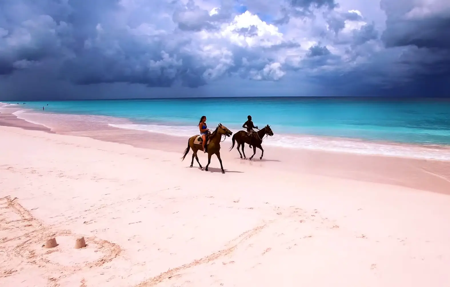 Horses on the Pink Sands Beach