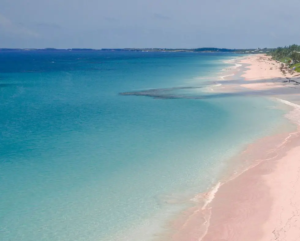 Pink Sand Beach View From Top