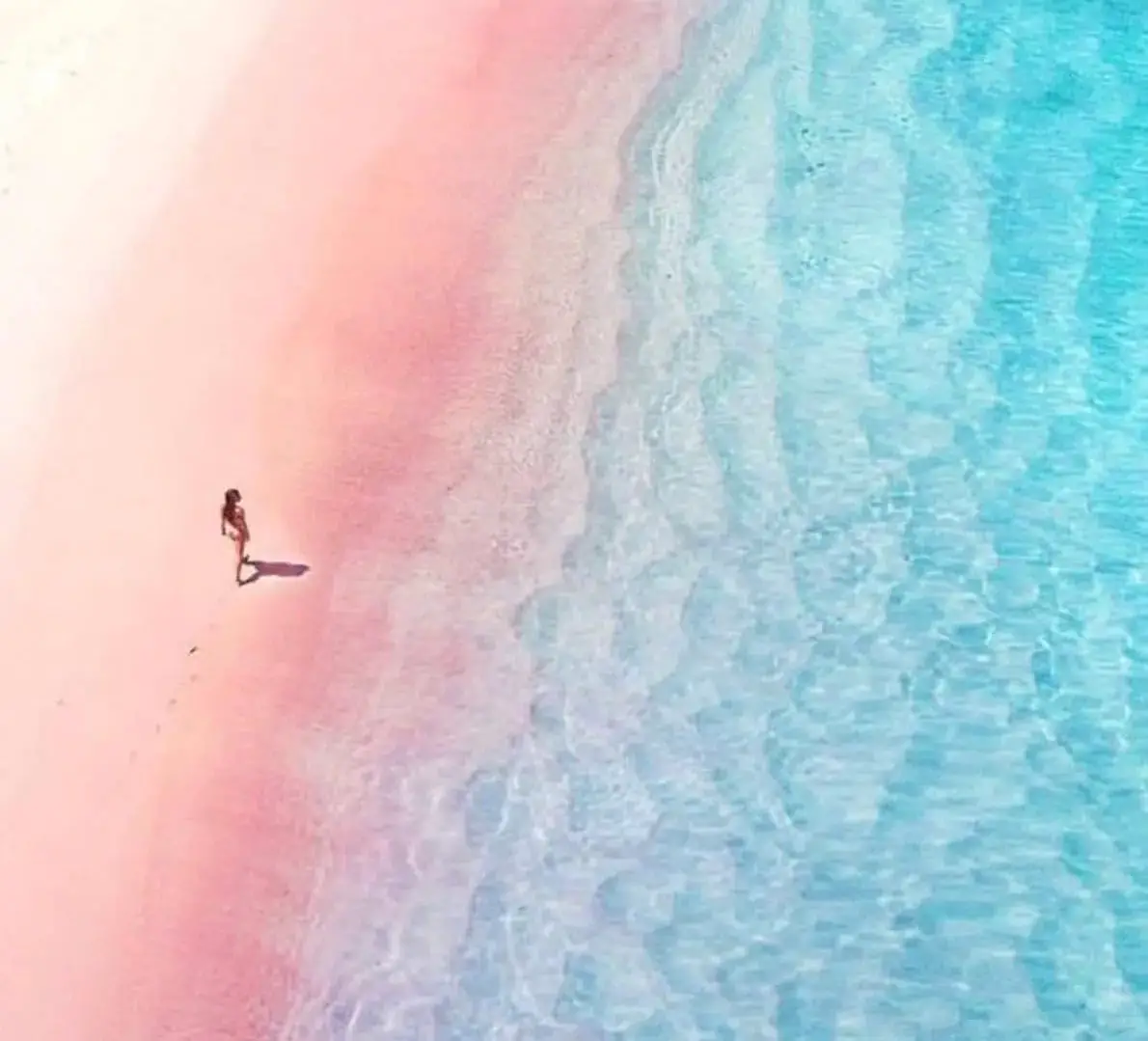 Woman Walking on the Pink Sand Beach